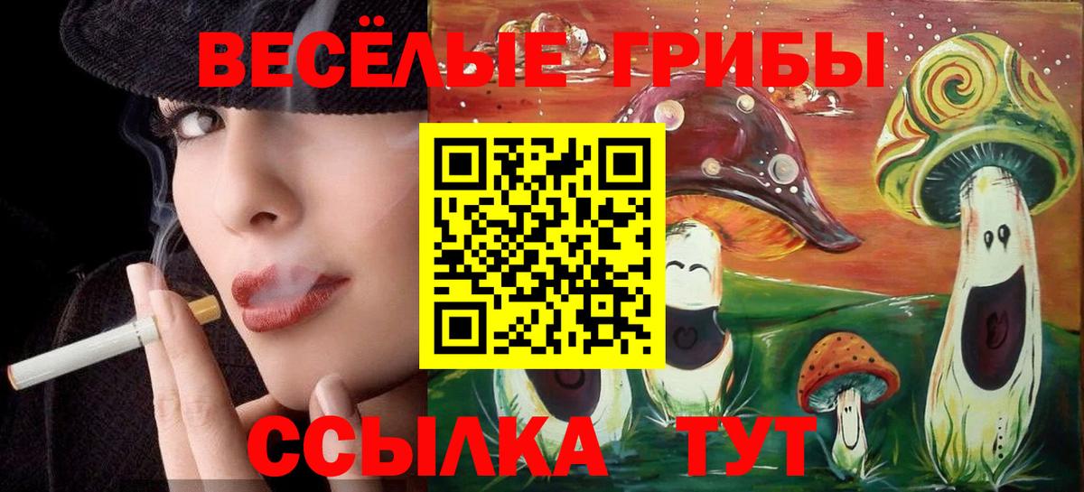 Бирск  где найти   Вход с VPN  Галлюциногенные грибы мухоморы 